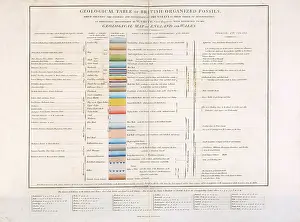 Identify Prints: Geological Table of British Organized Fossils