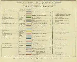 Identify Prints: Geological table of British organized fossils