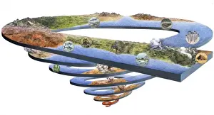 Geological timescale