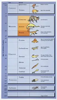 Timetable Prints: Geological timetable