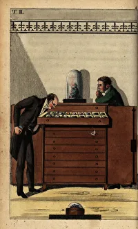 Encyclopedia Gallery: Geologists studying fossil examples stored