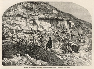 Discoveries Gallery: Geologists at Swanage