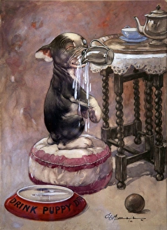 Images Dated 5th October 2014: George Ernest Studdy, You Simply Must Save Water