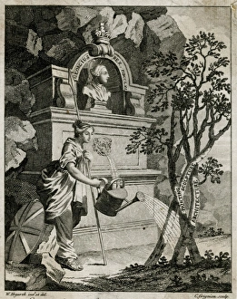 George III (Alleg Tree)