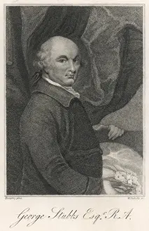 Chiefly Prints: George Stubbs / Humphrey