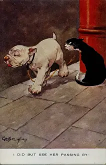 George Studdy Bonzo postcard