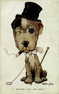 George Studdy Bonzo postcard