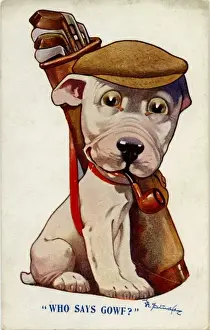 George Studdy Bonzo postcard