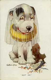 George Studdy Bonzo postcard