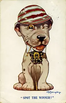 George Studdy Bonzo postcard