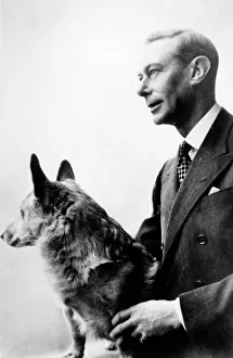 Images Dated 11th February 2016: George Vi / Corgi Dog