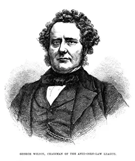 George Wilson, Statesman