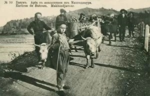 Adjara Gallery: Georgia - Batumi - Farmers