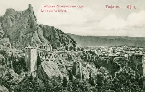 Georgia Prints: Georgia - Tbilisi - Botanical Gardens