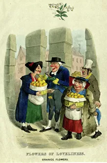 Oranges Prints: Georgian cartoon, Flowers of Loveliness