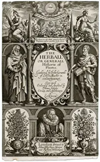 Herbs Prints: Gerards Herbal