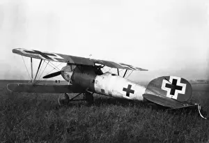 German Albatros D. V fighter plane, WW1