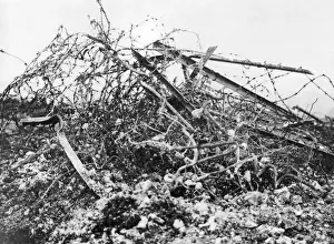 German barbed wire, Western Front, France, WW1