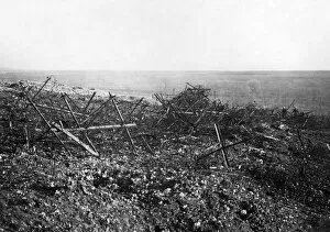 Ancre Gallery: German barbed wire, Western Front, France, WW1