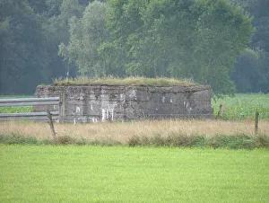 Images Dated 1st June 2020: German bunker, Oosttaverne Wood, Oostaverne