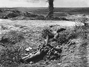 Casualty Prints: German casualty