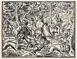 Deer Collection: German Deer Hunt C16