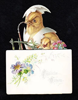 Images Dated 15th May 2018: German Easter card with chicks and eggshells