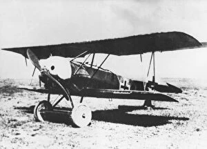 Bi Plane Collection: German Fokker D. VI fighter plane, WW1