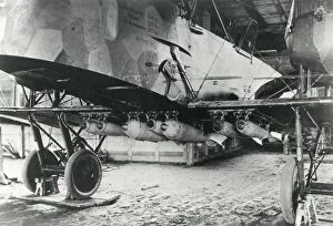 Undercarriage Collection: German Gotha G. V heavy bomber, WW1