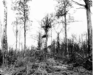 Mametz Prints: German lookout post, Mametz Wood, Western Front, WW1