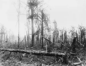 German observation post WWI