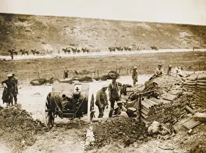 German position taken