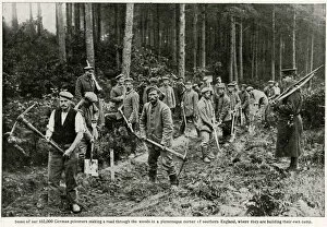 Images Dated 23rd December 2016: German prisoners making a road in southern England 1917