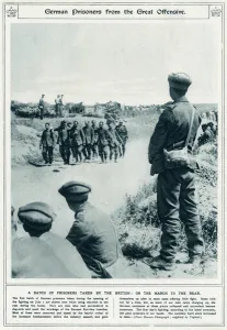 Batch Prints: German Prisoners of War 1916