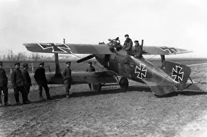 Roland Prints: German Roland C. II biplane, WW1