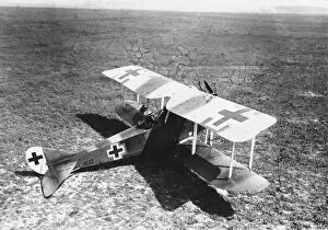 Crew Collection: German Rumpler-Taube plane, WW1