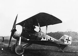 Siemens Gallery: German Siemens Schuckert D.III fighter plane, WW1