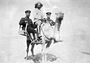 WWI Animals Gallery: German soldiers on a camel, South West Africa, WW1