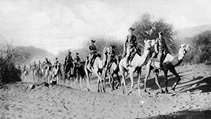 The German South-West Camel Corps