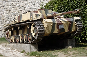 Images Dated 30th August 2007: German tank