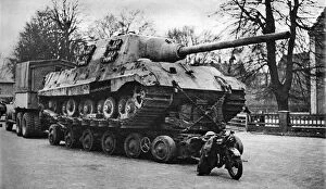 Tiger Collection: German tank destroyer Jagdtiger 1946