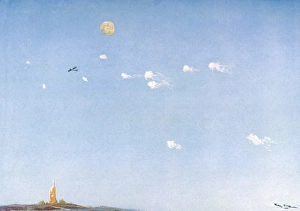 Images Dated 19th April 2011: German Taube in Air