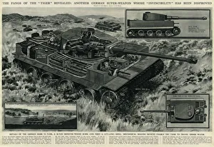 Shell Collection: German Tiger tank by G. H. Davis