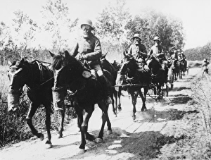 Aisne Gallery: German transport WWI