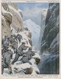 Germans in Norway