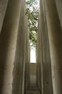 Images Dated 16th August 2006: Germany. Berlin. Jewish Museum Berlin. Garden of Exile