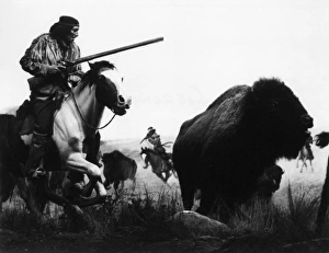 Hunting/Buffalo