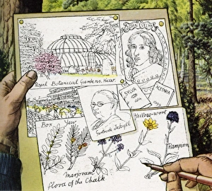 Images Dated 21st November 2011: Gertrude Jekyll - Garden designer