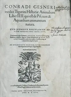 GESSNER, Conrad (1516-1565)