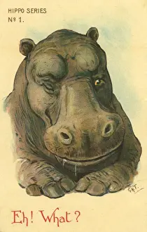Hippo Prints: Hippo
